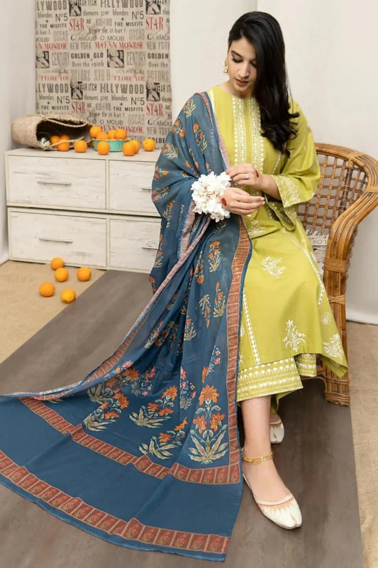 3_pcs women's unstitched Embroidered suit
