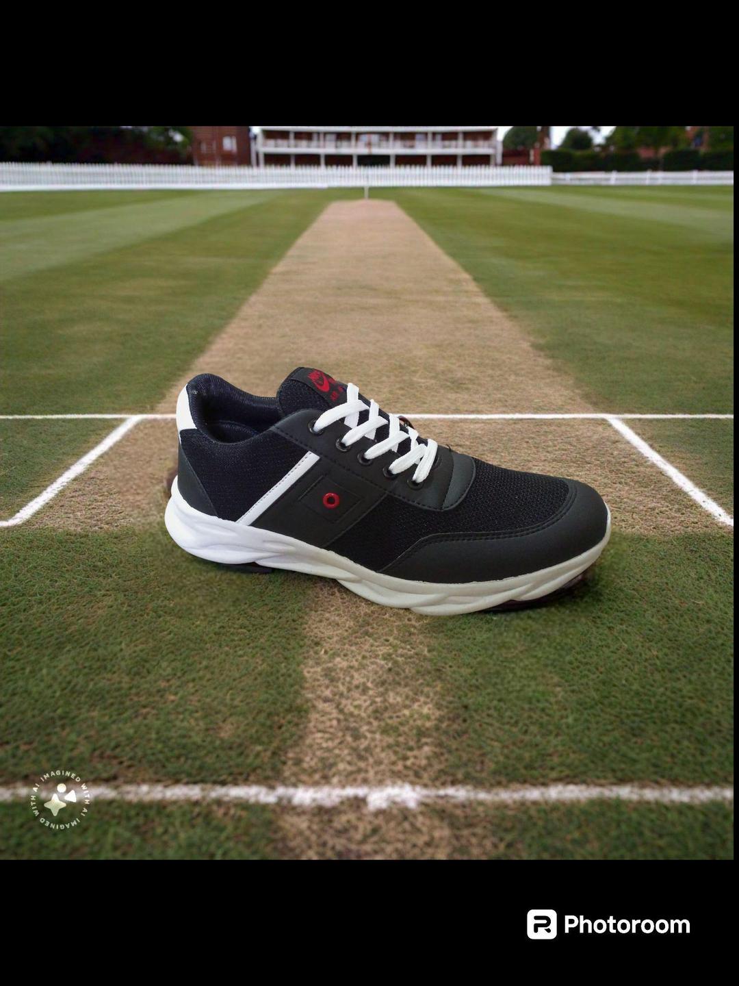 Men's fancy sports shoes